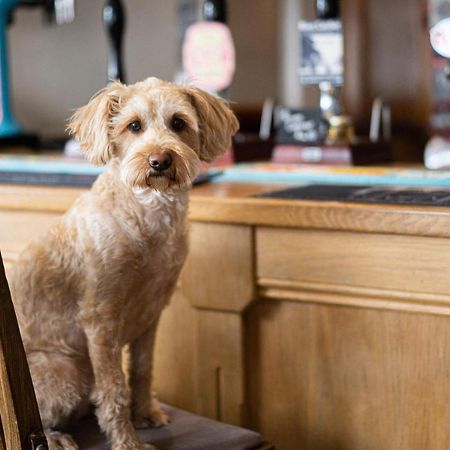 Masons Arms Amble Bed & Breakfast エクステリア 写真