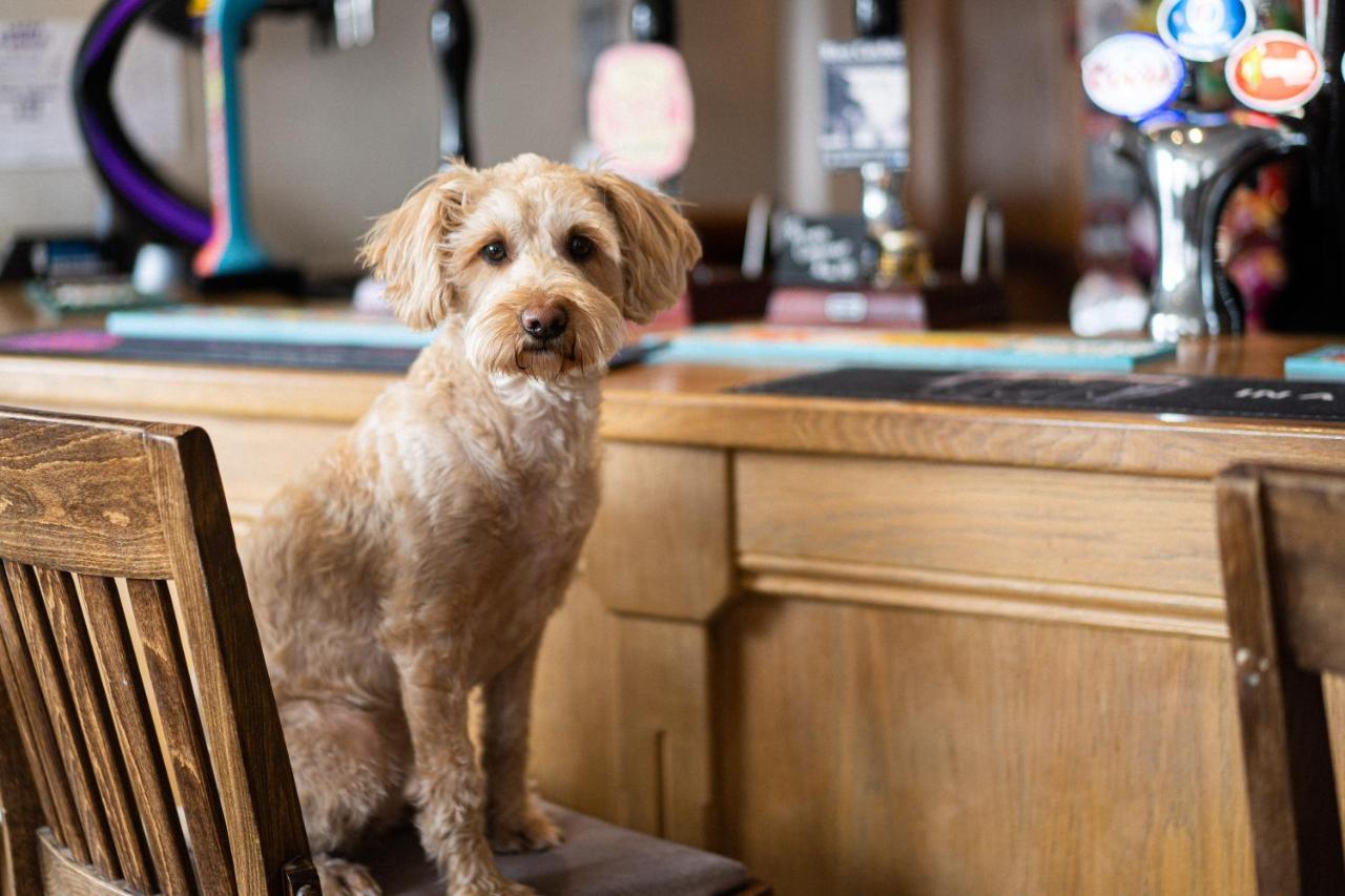 Masons Arms Amble Bed & Breakfast エクステリア 写真
